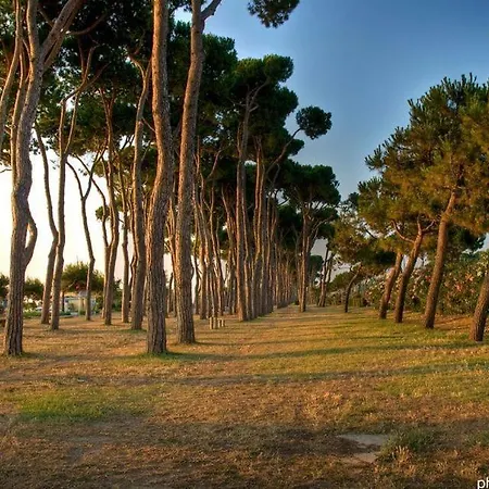 Orchidea Luxury - * Pineto