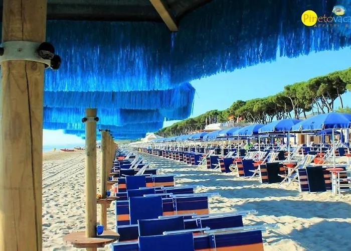 Apartment Orchidea Luxury - *