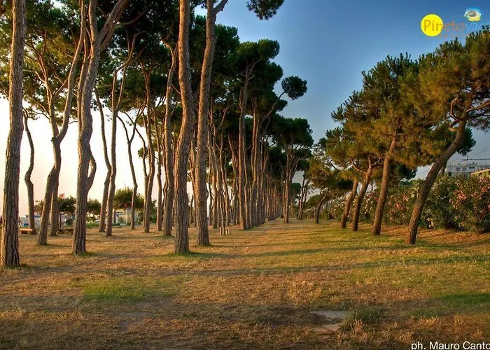 Orchidea Luxury - * Pineto